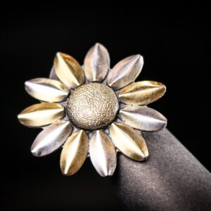 Ring-KOKAB